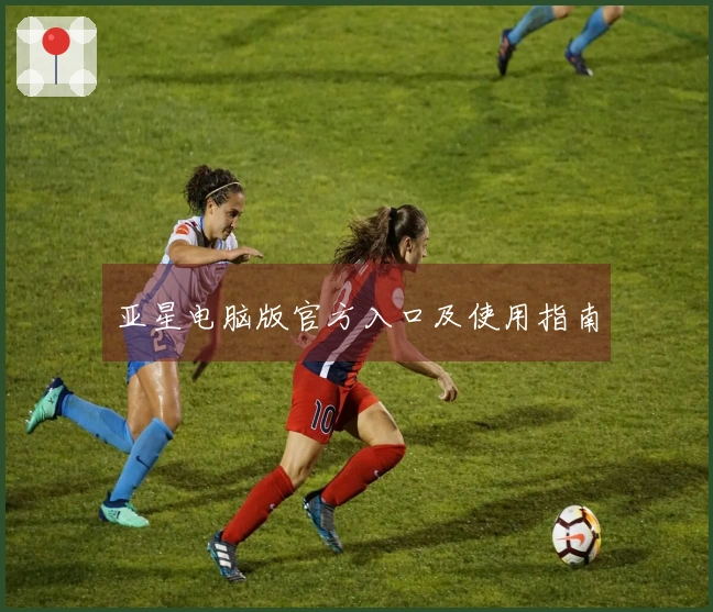 亚星电脑版官方入口及使用指南